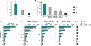 Tree–wheat vertical fine root distribution in a 4-year-old temperate alley-cropping system