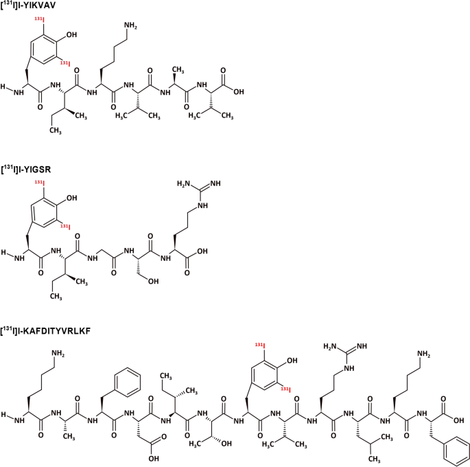 Assessment of bioactive peptides derived from laminin-111 as prospective breast cancer-targeting agents.