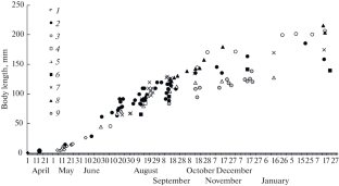 Growth Patterns in the Saffron Cod, Eleginus gracilis Tilesius (Gadidae), during the First Year of Life