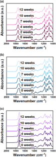 Promoted biodegradation behavior of poly(L-lactic acid) in seawater conditions through blending amorphous polyhydroxyalkanoate