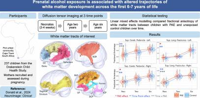 Prenatal alcohol exposure and white matter microstructural changes across the first 6–7 years of life: A longitudinal diffusion tensor imaging study of a South African birth cohort