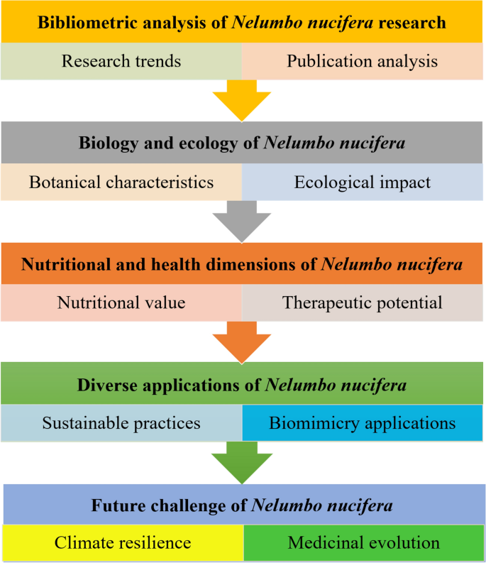 Lotus (Nelumbo nucifera): a multidisciplinary review of its cultural, ecological, and nutraceutical significance