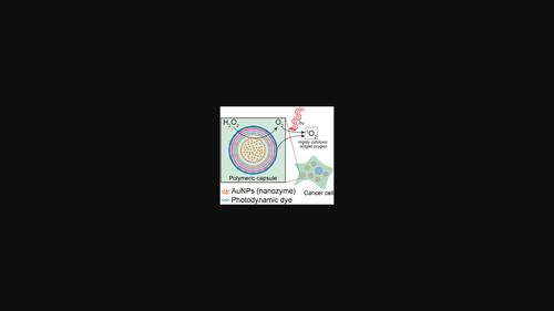 Photoinduced Toxicity Caused by Gold Nanozymes and Photodynamic Dye Encapsulated in Submicron Polymer Shell