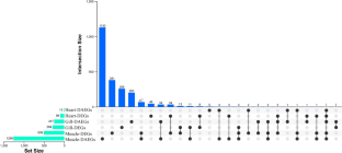 Transcriptional regulation and alternative splicing reveal the molecular strategies of Bombay duck Harpadon nehereus to hypoxia