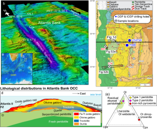 Oceanic mantle beneath ultraslow spreading ridges metasomatized by variably evolved melts