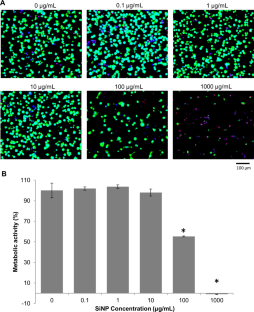 Silica nanoparticles enhance the cyto- and hemocompatibility of a multilayered extracellular matrix scaffold for vascular tissue regeneration.