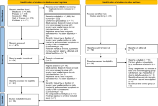 Utility of Repetitive Transcranial Magnetic Stimulation for Chronic Daily Headache Prophylaxis: A Systematic Review and Meta-Analysis.