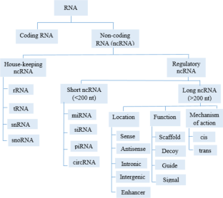 The pivotal role of long non-coding RNAs as potential biomarkers and modulators of chemoresistance in ovarian cancer (OC).