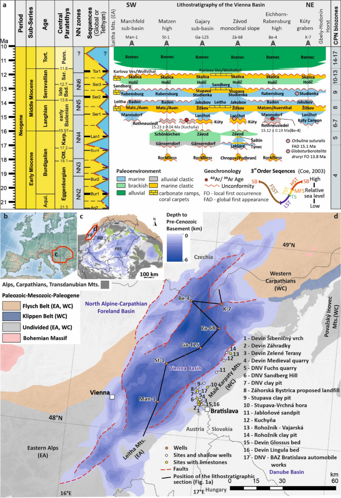 Biostratigraphy and paleoecology of the upper Badenian carbonate and siliciclastic nearshore facies in the Vienna Basin (Slovakia)