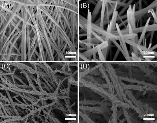 Preparation of Cu(OH)2/Cu2S arrays for enhanced hydrogen evolution reaction