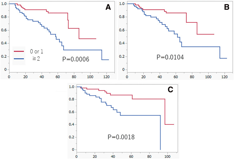 Prognostic Significance of CONUT Score in Elderly NSCLC.
