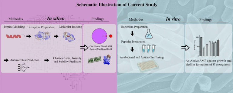 In Silico and In vitro Evaluations of the Antibacterial Activities of HIV-1 Nef Peptides against <i>Pseudomonas aeruginosa</i>.