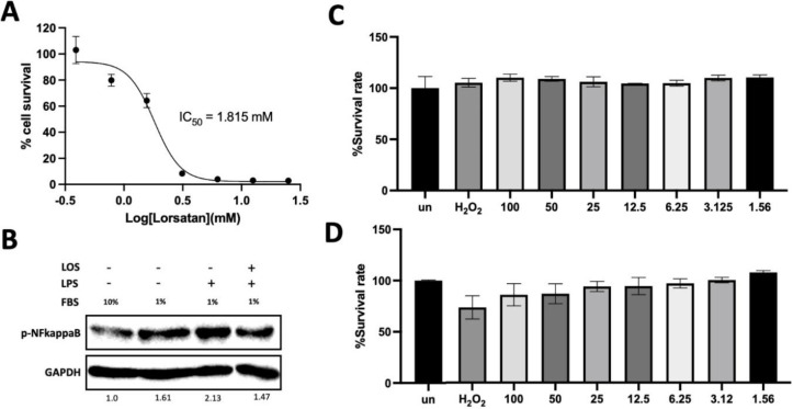 Losartan as a Reproposing Therapeutic Agent in Acute Respiratory Distress Syndrome: Modulating Inflammatory Responses and Cytokine Production.