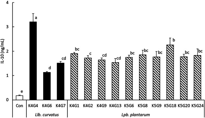 Mechanisms of interleukin-10 induction in murine spleen and RAW264 cells by <i>Latilactobacillus curvatus</i> K4G4 isolated from fermented <i>Brassica rapa</i> L.