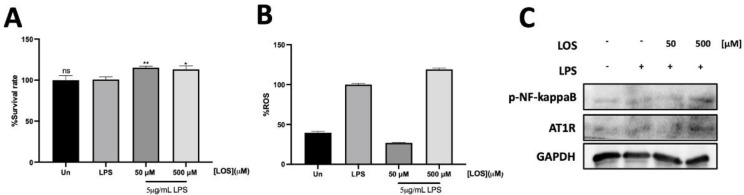 Losartan as a Reproposing Therapeutic Agent in Acute Respiratory Distress Syndrome: Modulating Inflammatory Responses and Cytokine Production.