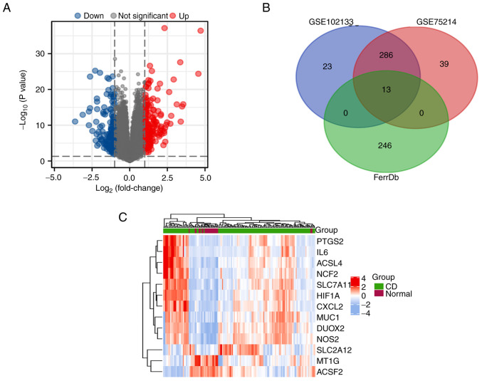 Identification of differentially expressed genes associated with ferroptosis in Crohn's disease.