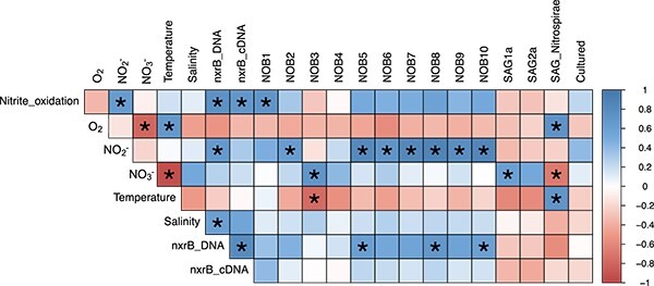 Nitrite-oxidizing bacteria adapted to low-oxygen conditions dominate nitrite oxidation in marine oxygen minimum zones.