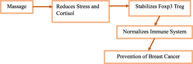 Massage on the prevention of breast cancer through stress reduction and enhancing immune system.