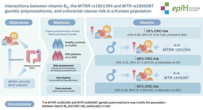 Interactions between vitamin B2, the MTRR rs1801394 and MTR rs1805087 genetic polymorphisms, and colorectal cancer risk in a Korean population.