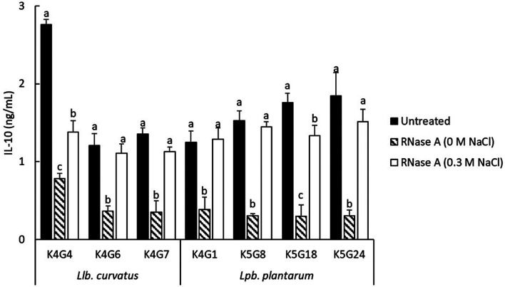 Mechanisms of interleukin-10 induction in murine spleen and RAW264 cells by <i>Latilactobacillus curvatus</i> K4G4 isolated from fermented <i>Brassica rapa</i> L.