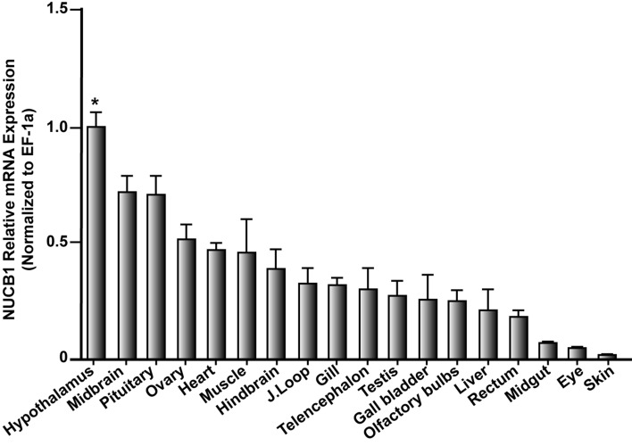 Stress induces nucleobindin-1 mRNA and nesfatin-1-like peptide stimulates cortisol secretion in goldfish.