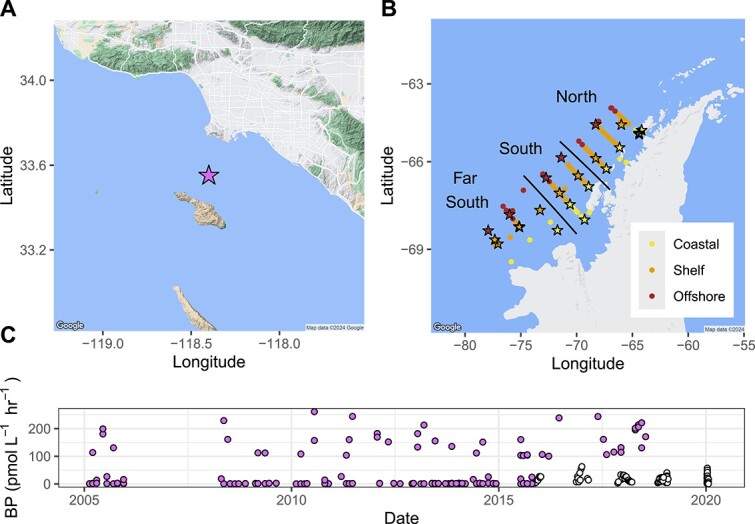 Microbial community composition predicts bacterial production across ocean ecosystems.
