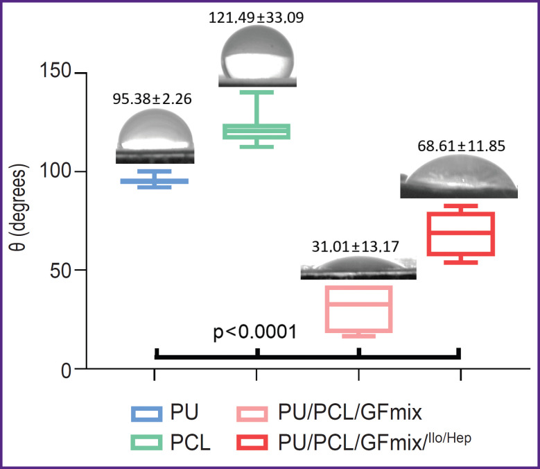 Composite Tissue-Engineered Small-Diameter Vascular Grafts Based on Polycaprolactone and Polyurethane with Growth Factors and Atrombogenic Drug Coatings: Surface Ultrastructure, Physical and Mechanical Properties.