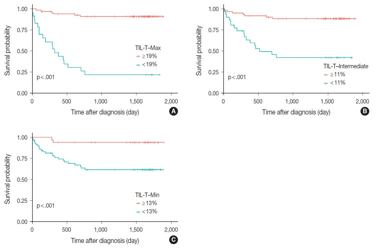 Tumor-infiltrating T lymphocytes evaluated using digital image analysis predict the prognosis of patients with diffuse large B-cell lymphoma.