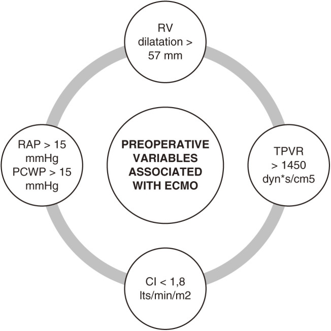 Extracorporeal Mechanical Circulatory Support after Pulmonary Thromboendarterectomy: Experience of One Center.