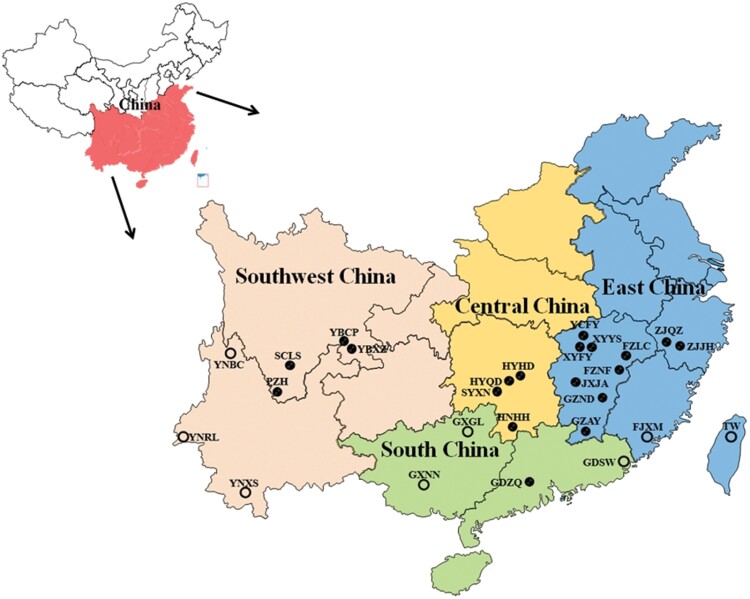 摘要图片