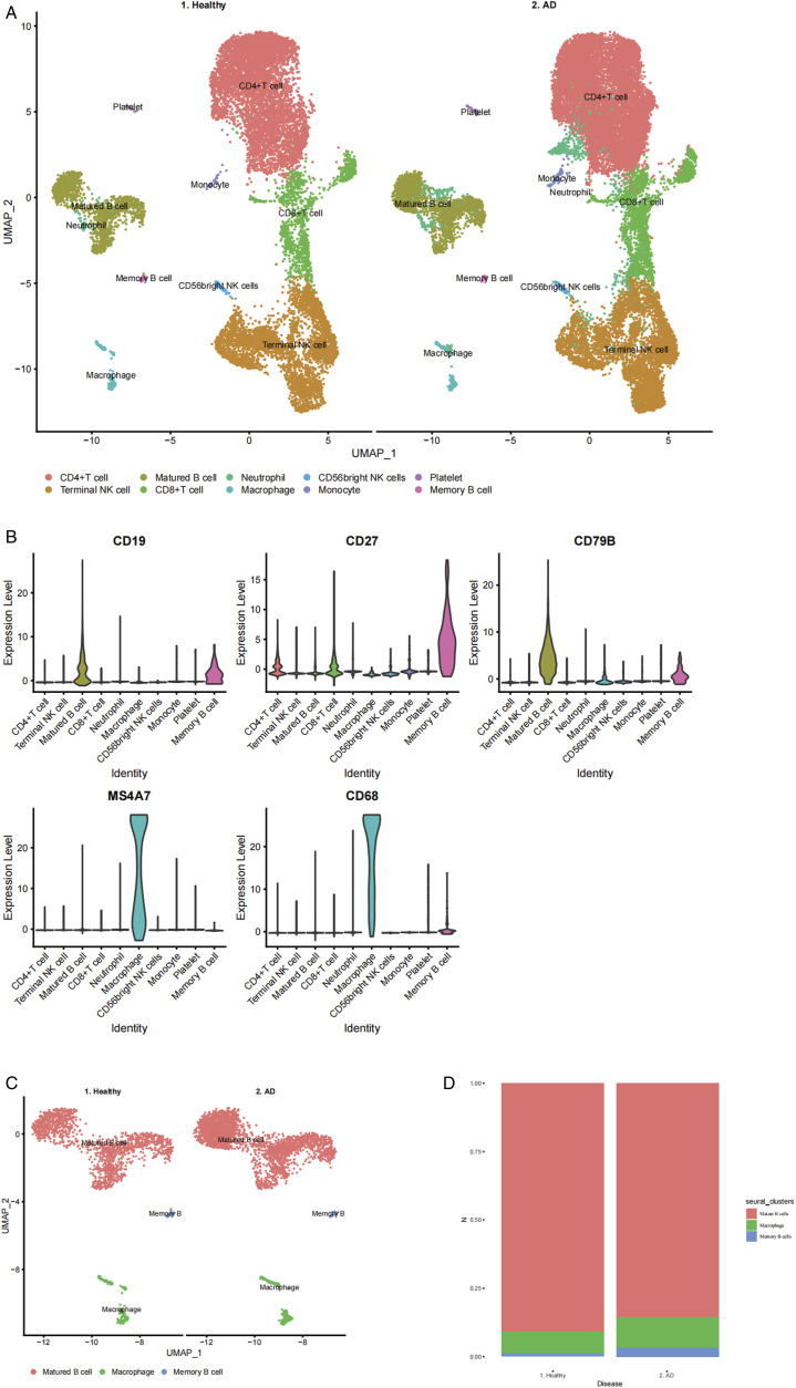 Migration Inhibition Factor Secreted by Peripheral Blood Memory B Cells Binding to CD74-CD44 Receptor Complex Drives Macrophage Behavior in Alzheimer's Disease.