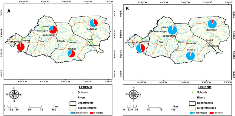 Evaluation of the epidemiological situation of intestinal schistosomiasis using the POC-CCA parasite antigen test and the Kato-Katz egg count test in school-age children in endemic villages in western Côte d'Ivoire.