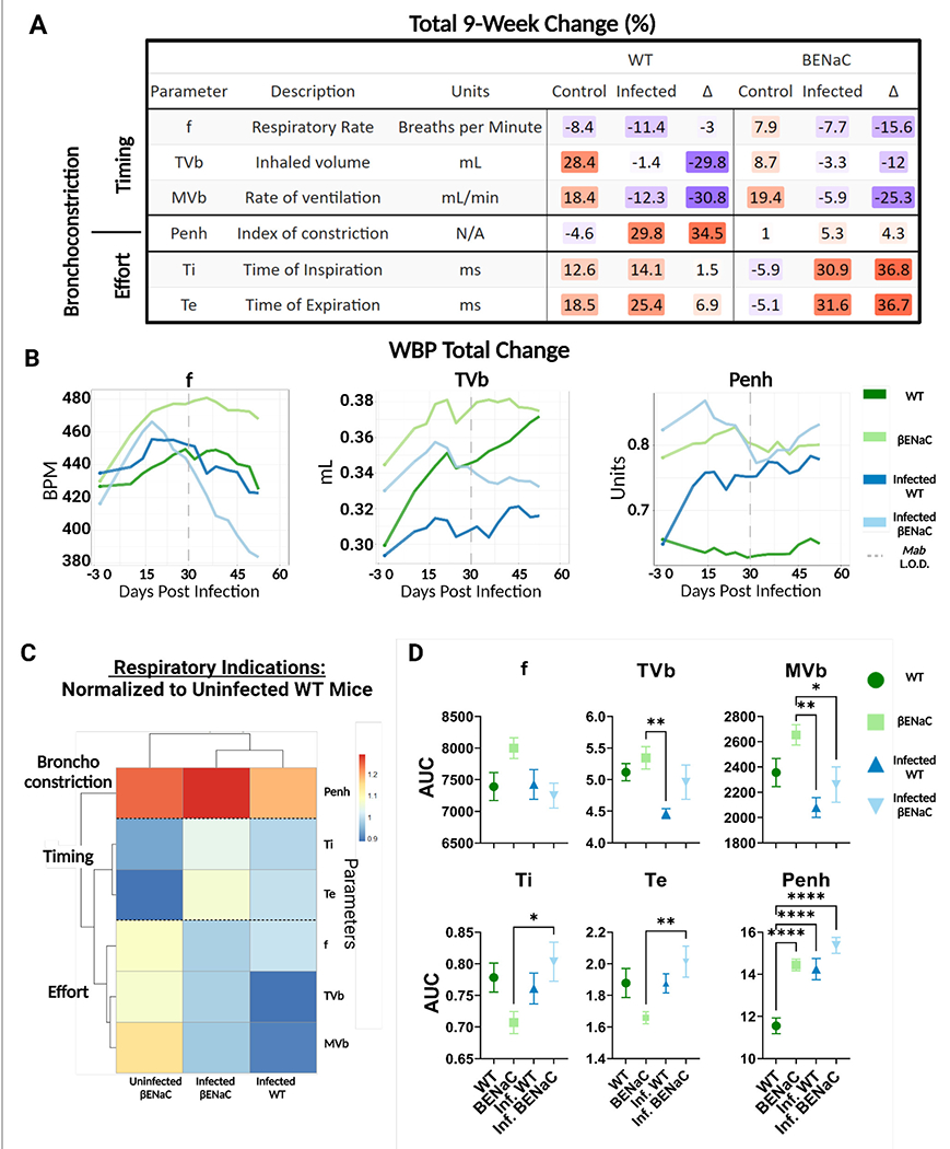<i>Mycobacterium abscessus</i> pulmonary infection and associated respiratory function in cystic fibrosis-like βENaC mice.