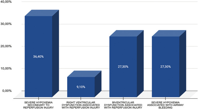 Extracorporeal Mechanical Circulatory Support after Pulmonary Thromboendarterectomy: Experience of One Center.