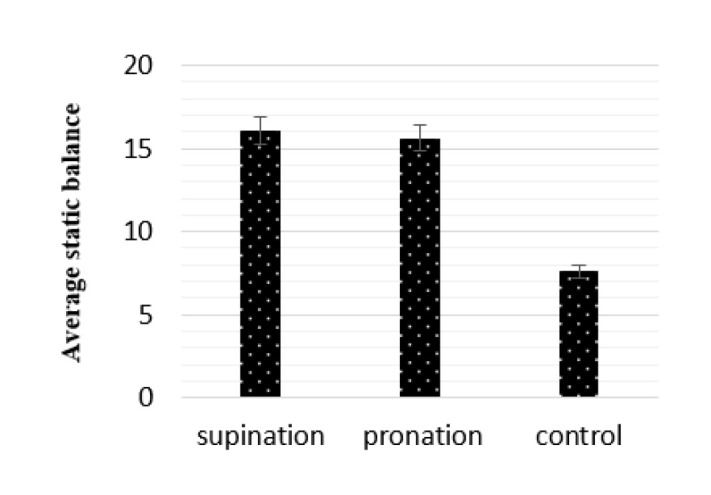 Effect of Medial Longitudinal Arch Height of the Foot on Static and Dynamic Balance in 7-10-Year-Old Boy Gymnasts.