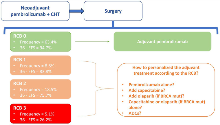 Early-stage triple negative breast cancer: the therapeutic role of immunotherapy and the prognostic value of pathological complete response.
