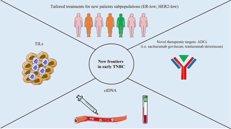 Early-stage triple negative breast cancer: the therapeutic role of immunotherapy and the prognostic value of pathological complete response.