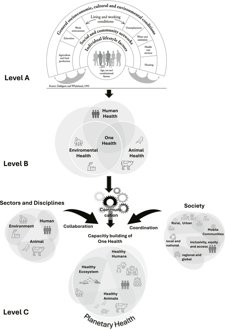 The Earth as a Living Organism: Contribution of Integrative Medicine to the Healing of Our Planet (One Health).