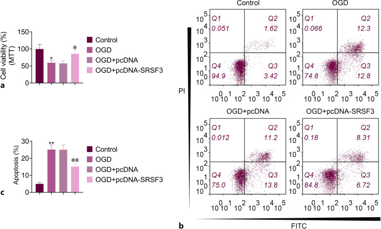 SRSF3 Alleviates Ischemic Cerebral Infarction Damage by Activating the PI3K/AKT Pathway.