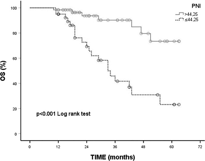 Prognostic Value of Inflammation and Nutrition-Based Scores in Non-Small Cell Lung Cancer.