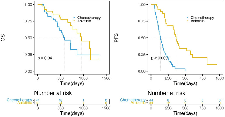 Efficacy and Safety of Anlotinib in EGFR-Positive Patients with Advanced Lung Adenocarcinoma Compared with Chemotherapy: A Retrospective Study.
