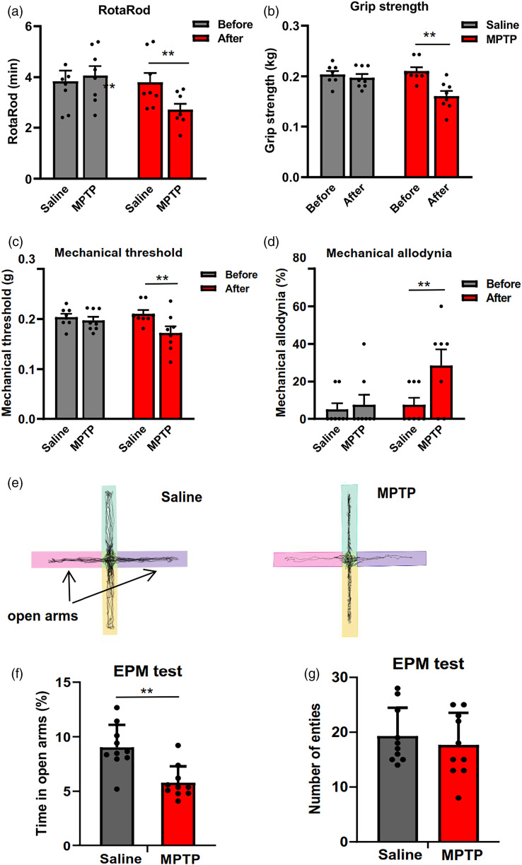 Inhibition of calcium-stimulated adenylyl cyclase subtype 1 (AC1) for the treatment of pain and anxiety symptoms in Parkinson's disease mice model.