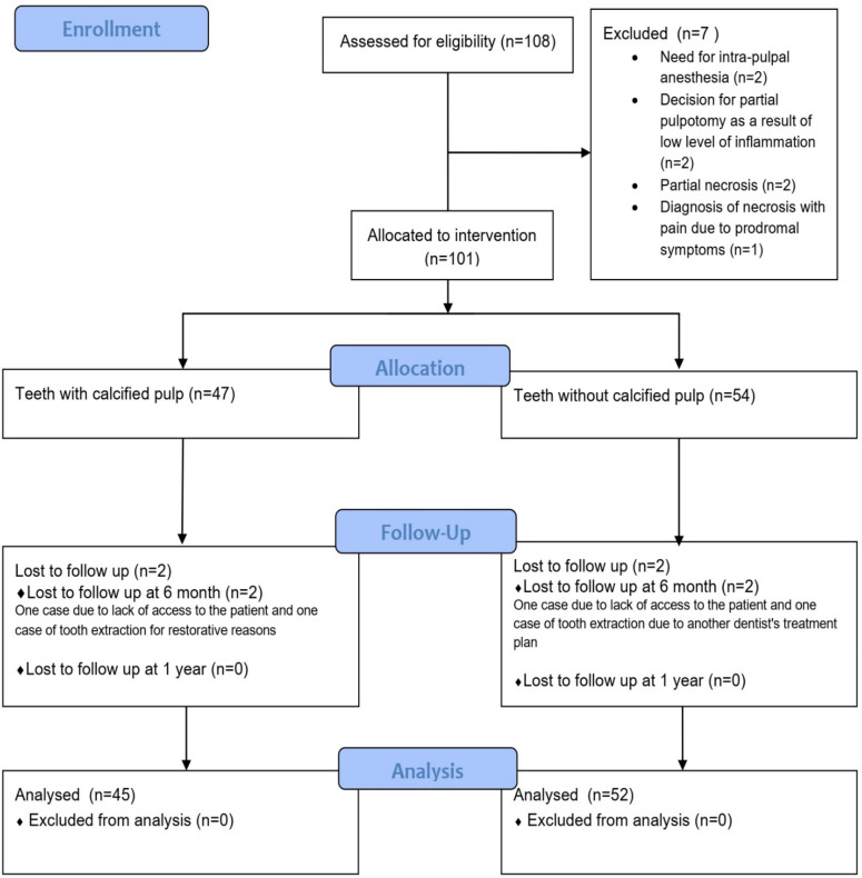 Comparative Outcomes of Pulpotomy in Mature Molars with Irreversible Pulpitis: A Non-Randomized Trial Evaluating Calcified and Non-Calcified Pulp Chambers.