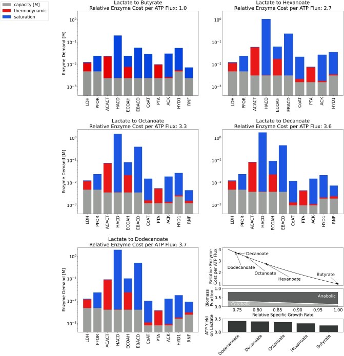 Evaluating the feasibility of medium-chain oleochemical synthesis using microbial chain elongation.