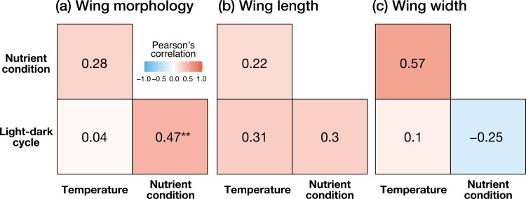Developmental noise and phenotypic plasticity are correlated in <i>Drosophila simulans</i>.