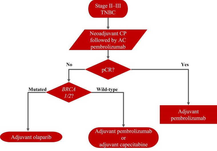 Early-stage triple negative breast cancer: the therapeutic role of immunotherapy and the prognostic value of pathological complete response.