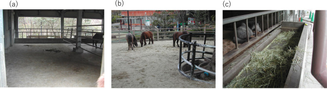 Serum amino acid profiles in clinically normal Noma horses.