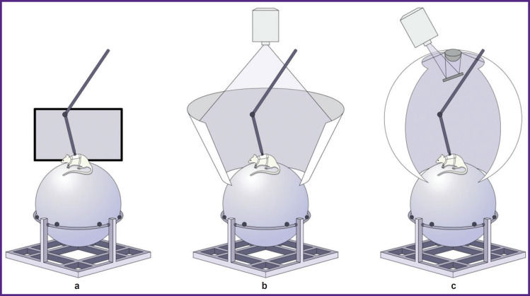 A Method for Assessing Working Memory in Rats Using Controlled Virtual Environment.