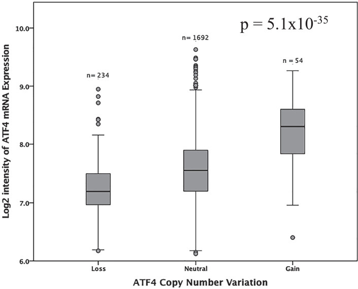 ATF4 as a Prognostic Marker and Modulator of Glutamine Metabolism in Oestrogen Receptor-Positive Breast Cancer.