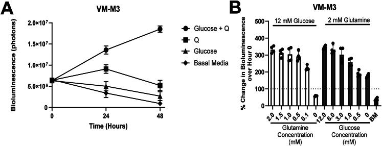 Amino Acid and Glucose Fermentation Maintain ATP Content in Mouse and Human Malignant Glioma Cells.